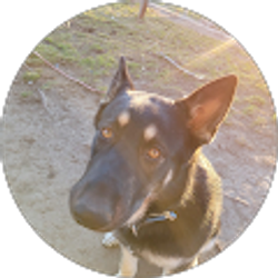 Profile photo of Bruno De la Paz Evangelista