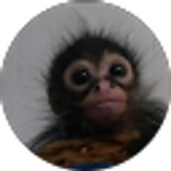 Profile photo of Carlos Campos