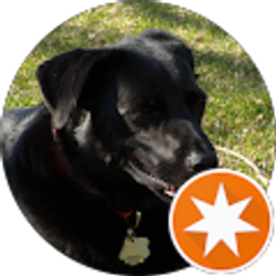 Profile photo of George Miller