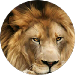 Profile photo of Melina Miller