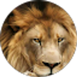 Profile photo of Melina Miller