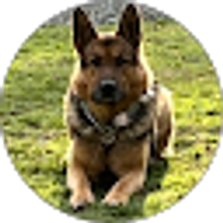Profile photo of Will Johnson