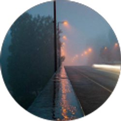 Profile photo of Ryan Raaphorst