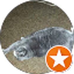 Profile photo of Shavonne Davis