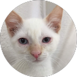 Profile photo of Donna G Dickerson