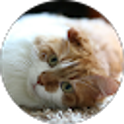 Profile photo of Seth Ruby