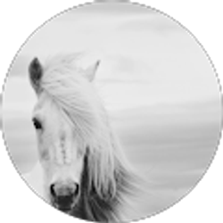 Profile photo of Saraphine S