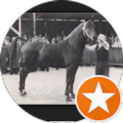 Profile photo of Ingrid Edisen