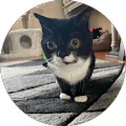 Profile photo of Big Toe (sans)