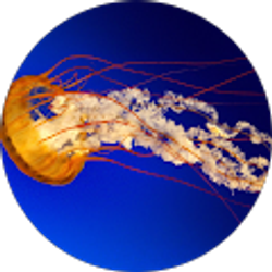 Profile photo of sean884real