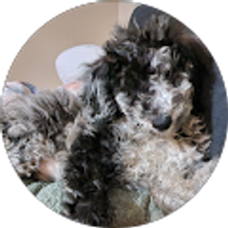 Profile photo of Kaylea Singleton