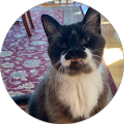 Profile photo of Susan Sherrick