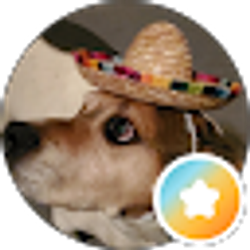 Profile photo of Tooold 4yourcrap