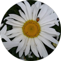 Profile photo of Mia Sanchez