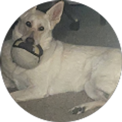 Profile photo of Zach