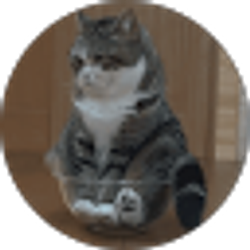 Profile photo of catcatcat