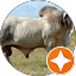 Profile photo of Jammerson Agnew