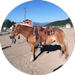 Profile photo of Heidi Pfosch