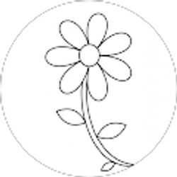 Profile photo of Sheila Crosby (Sheiladc77)