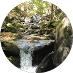 Profile photo of Yanmei Lin