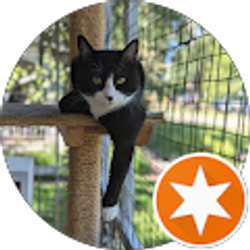 Profile photo of Jayne Just