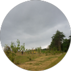 Profile photo of Oscar A