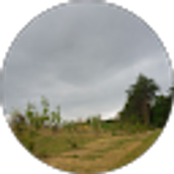 Profile photo of Oscar A