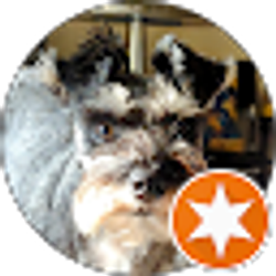 Profile photo of Andrea Angebrand