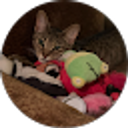 Profile photo of Jenn J