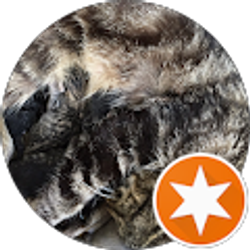 Profile photo of Josh and Jennifer Sites