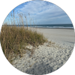 Profile photo of Travel-man