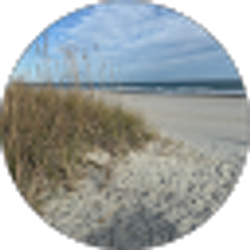Profile photo of Travel-man