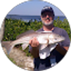 Profile photo of Bob Boisvert