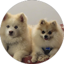 Profile photo of John Miller