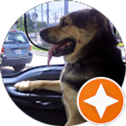 Profile photo of Clyde Notti