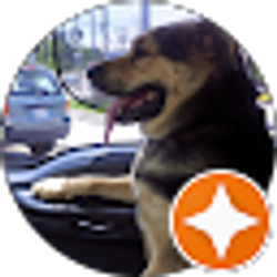 Profile photo of Clyde Notti