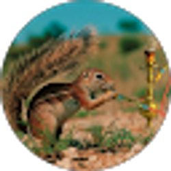 Profile photo of Smith Smith