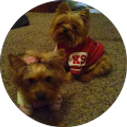 Profile photo of Loreece Bly