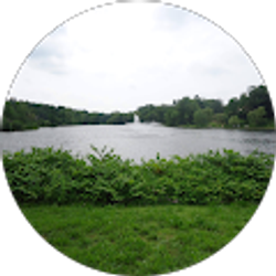 Profile photo of María Cruz