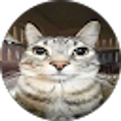Profile photo of Ken Chen