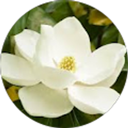 Profile photo of Latrena Montgomery