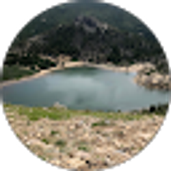 Profile photo of Com