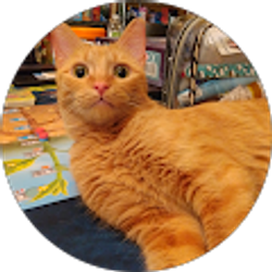 Profile photo of Nagara Venteel