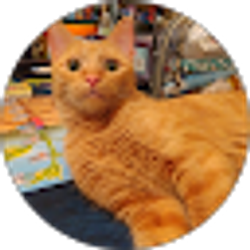 Profile photo of Nagara Venteel