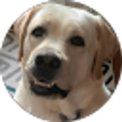 Profile photo of Karen Gagan