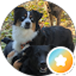 Profile photo of DistanceRunner 24