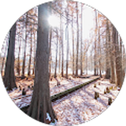 Profile photo of Arvin Singh