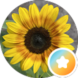 Profile photo of Liz Kenney