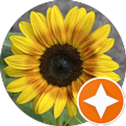 Profile photo of Liz Kenney