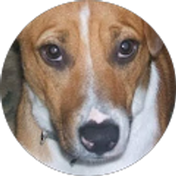 Profile photo of Frances Hayes